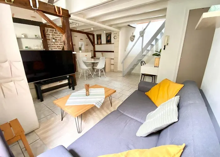 Descartes - Au Pied Basilique Saint Martin Apartman Tours
