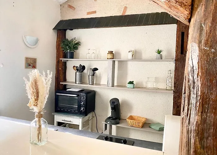 Apartman Descartes - Au Pied Basilique Saint Martin