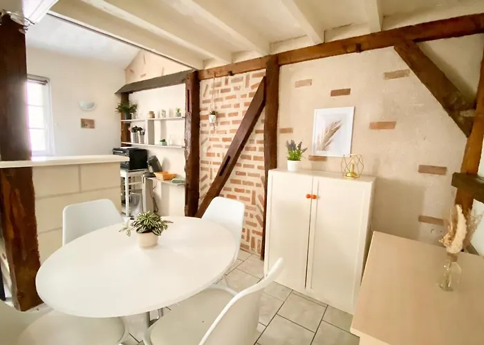 Descartes - Au Pied Basilique Saint Martin Apartman Tours