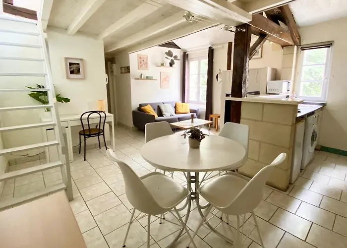 Apartman Descartes - Au Pied Basilique Saint Martin Tours