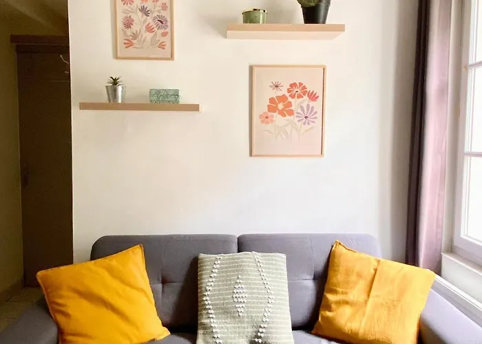 Apartman Descartes - Au Pied Basilique Saint Martin