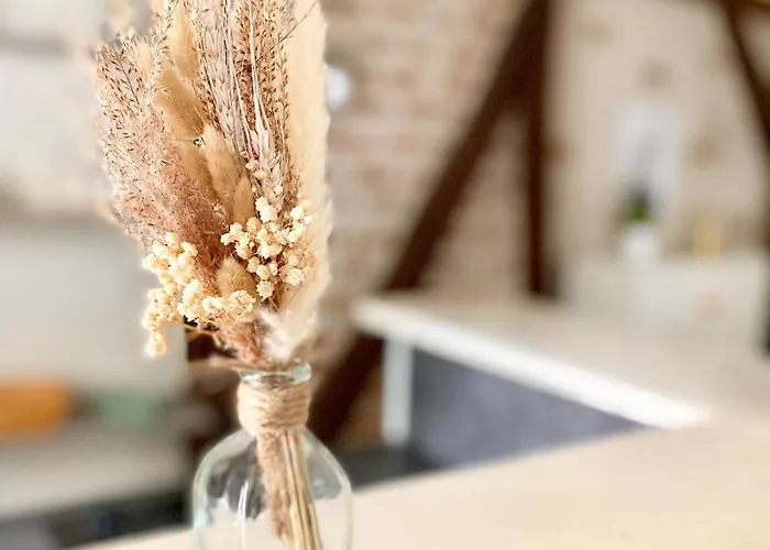 Descartes - Au Pied Basilique Saint Martin *