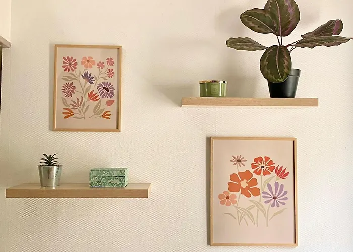 Descartes - Au Pied Basilique Saint Martin Апартаменти *