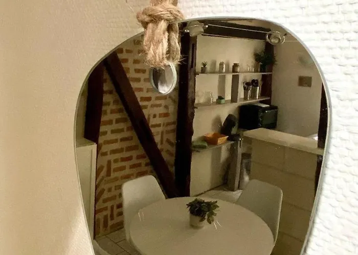 Descartes - Au Pied Basilique Saint Martin Apartman *