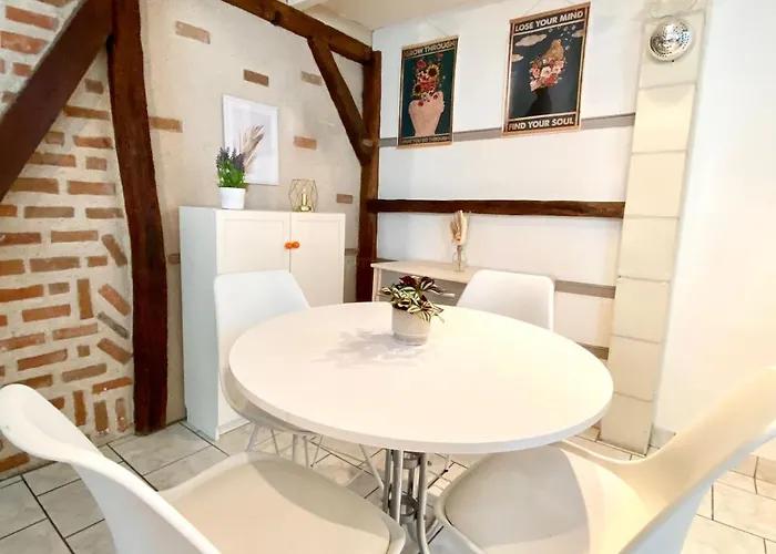 Descartes - Au Pied Basilique Saint Martin Apartman Tours